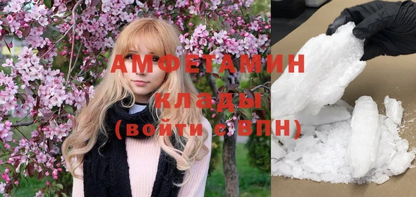 индика Верхний Тагил