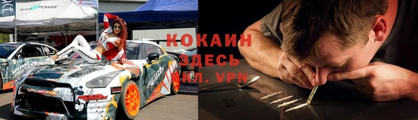 индика Верхний Тагил