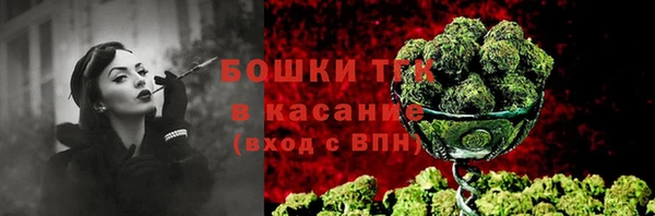 индика Верхний Тагил