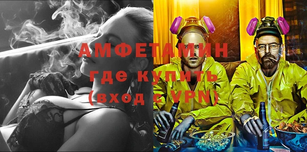 индика Верхний Тагил