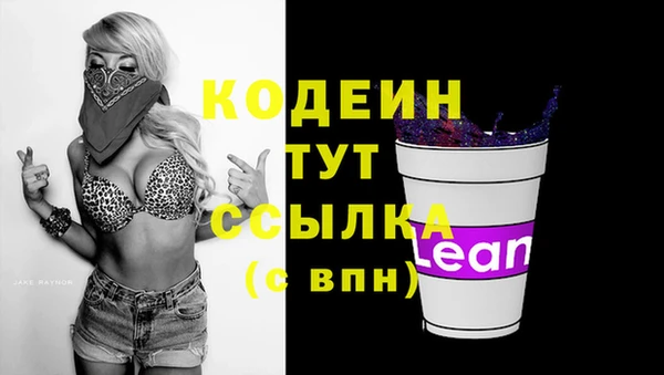 индика Верхний Тагил