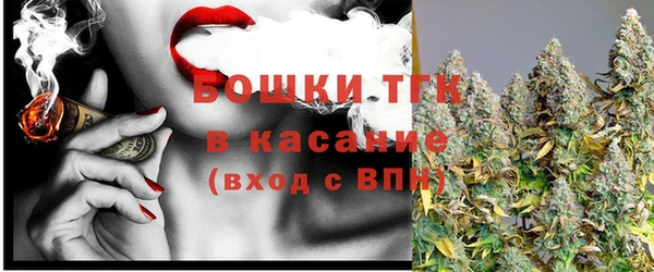 индика Верхний Тагил