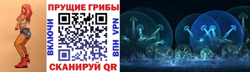 где можно купить наркотик  Кинель  Псилоцибиновые грибы MAGIC MUSHROOMS 
